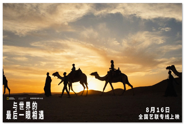 1754462814727660.png image.png